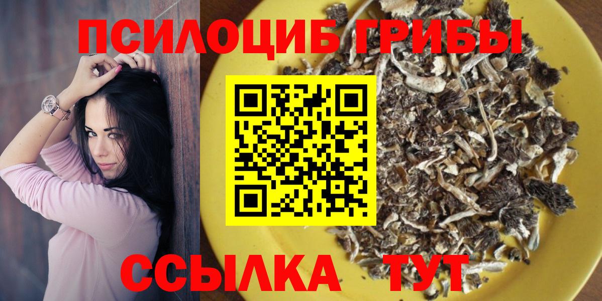 Курчатов  где купить наркотик  Вход с VPN  Псилоцибиновые грибы Psilocybine cubensis 